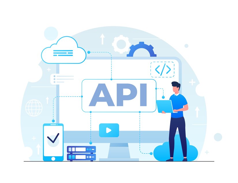 API Developer