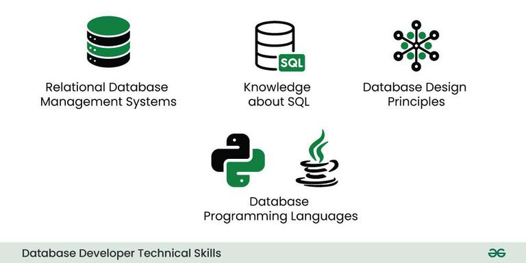 Database Developer
