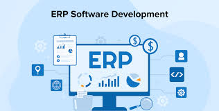 ERP Developer